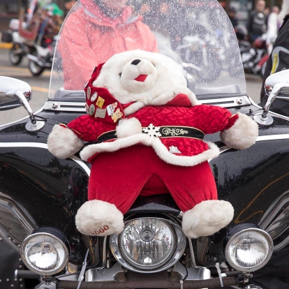 Stuffed Animal On Motorcycle